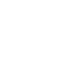 Discover Asia - Elephant